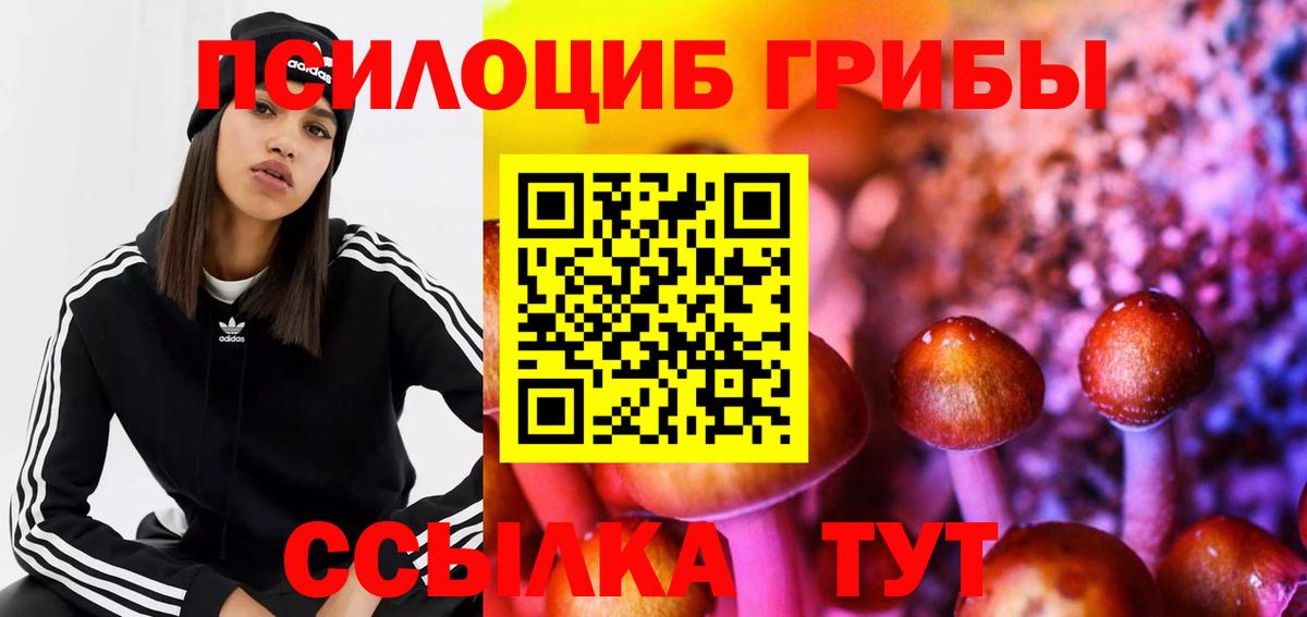 Галлюциногенные грибы Psilocybine cubensis  Галлюциногенные грибы ЛСД  Вход с VPN  Обь 