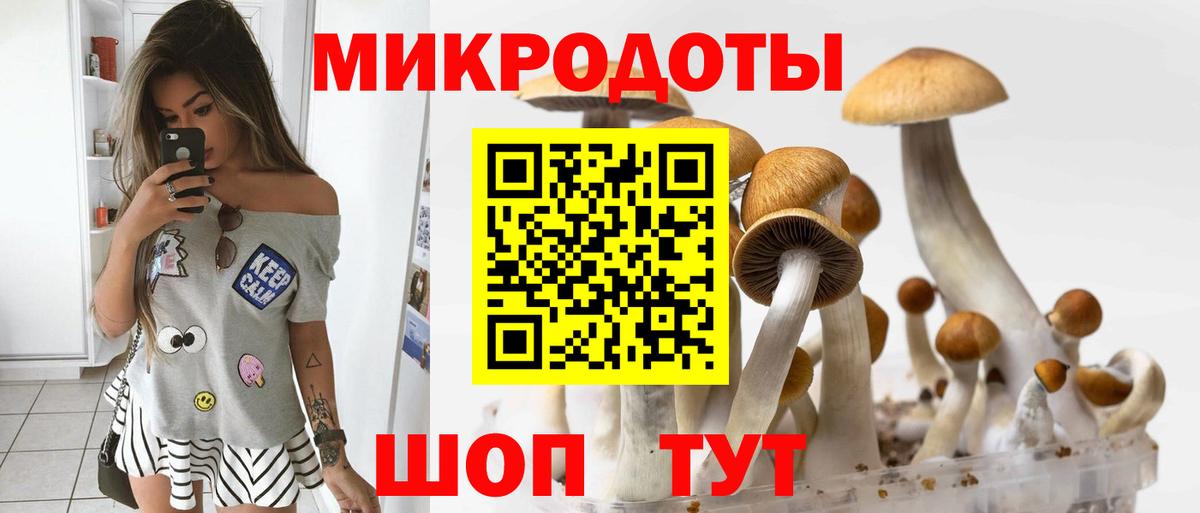 Галлюциногенные грибы MAGIC MUSHROOMS Обь